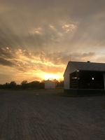 Photo gallery photo