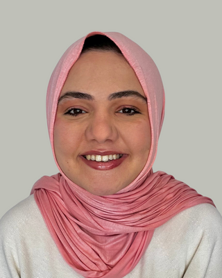 Photo of Tabeer Qazi, Clinical Social Work/Therapist, LSW