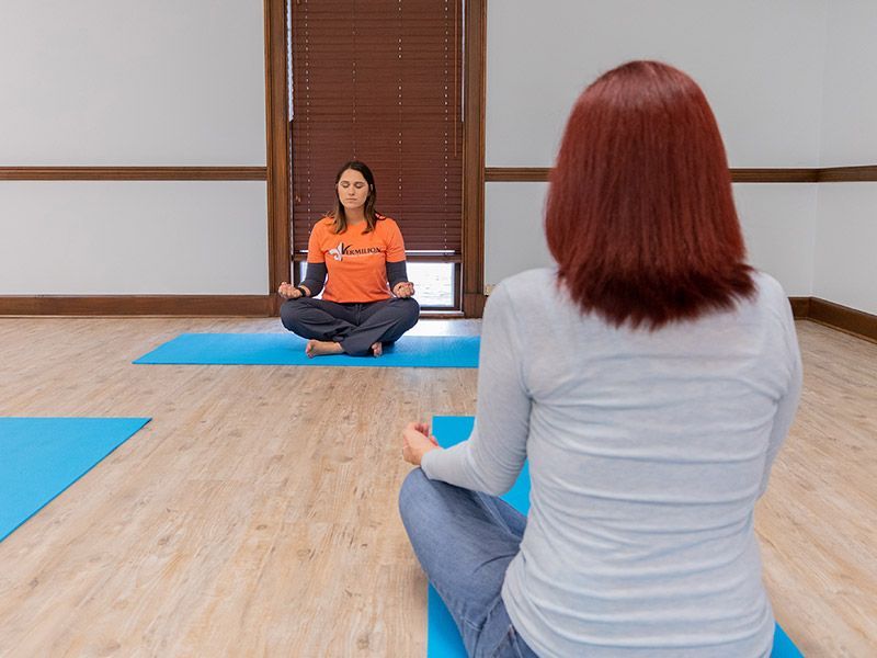 Vermilion Behavioral Health Adolescent Inpatient, Treatment Center