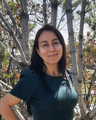 Photo of Teresa Garcia, LCSW, MSSW, Clinical Social Work/Therapist