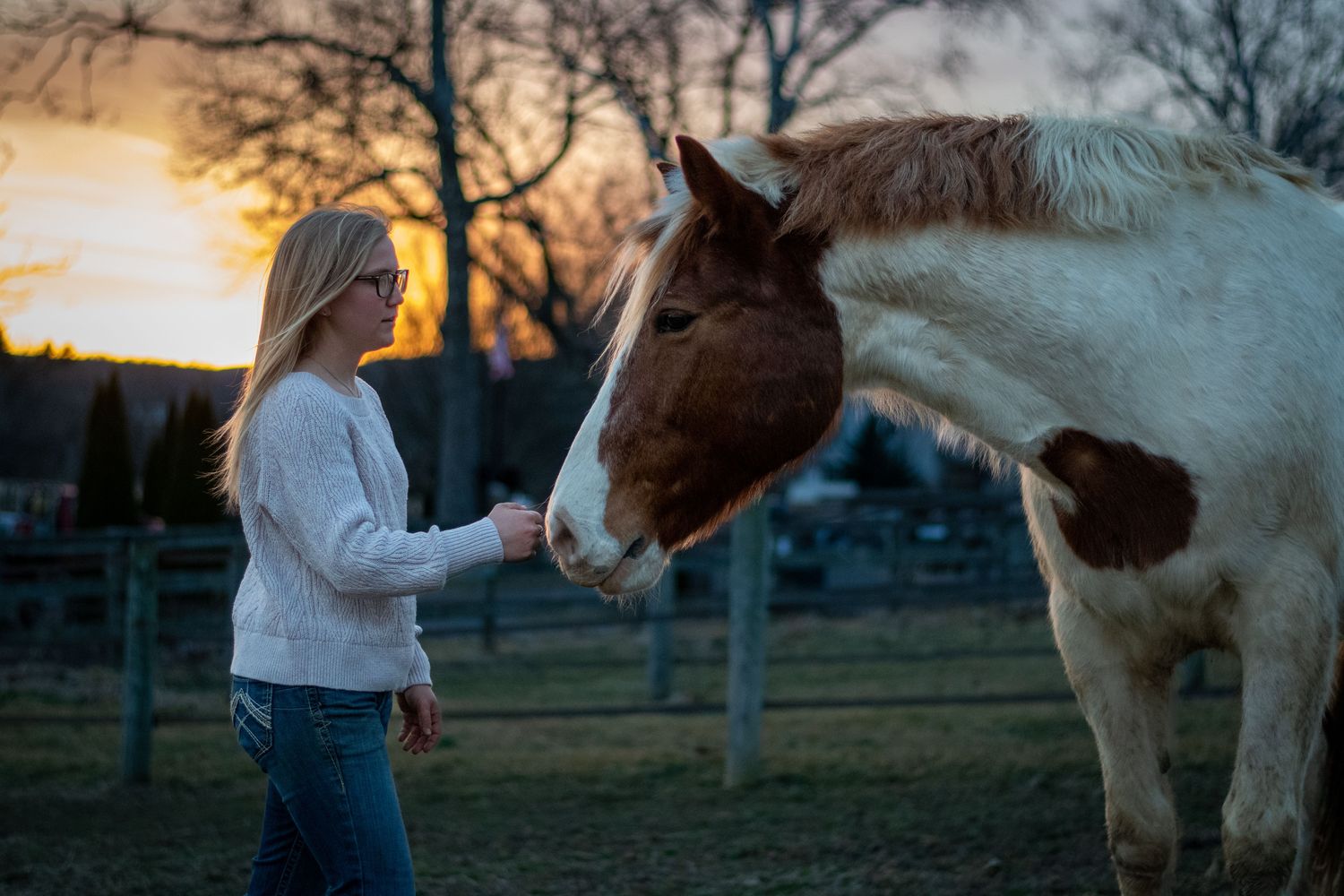 Gallery Photo of Hope. Healing. Horses.
