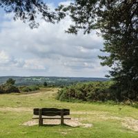 Gallery Photo of Bench on Ashdown Forest walking route