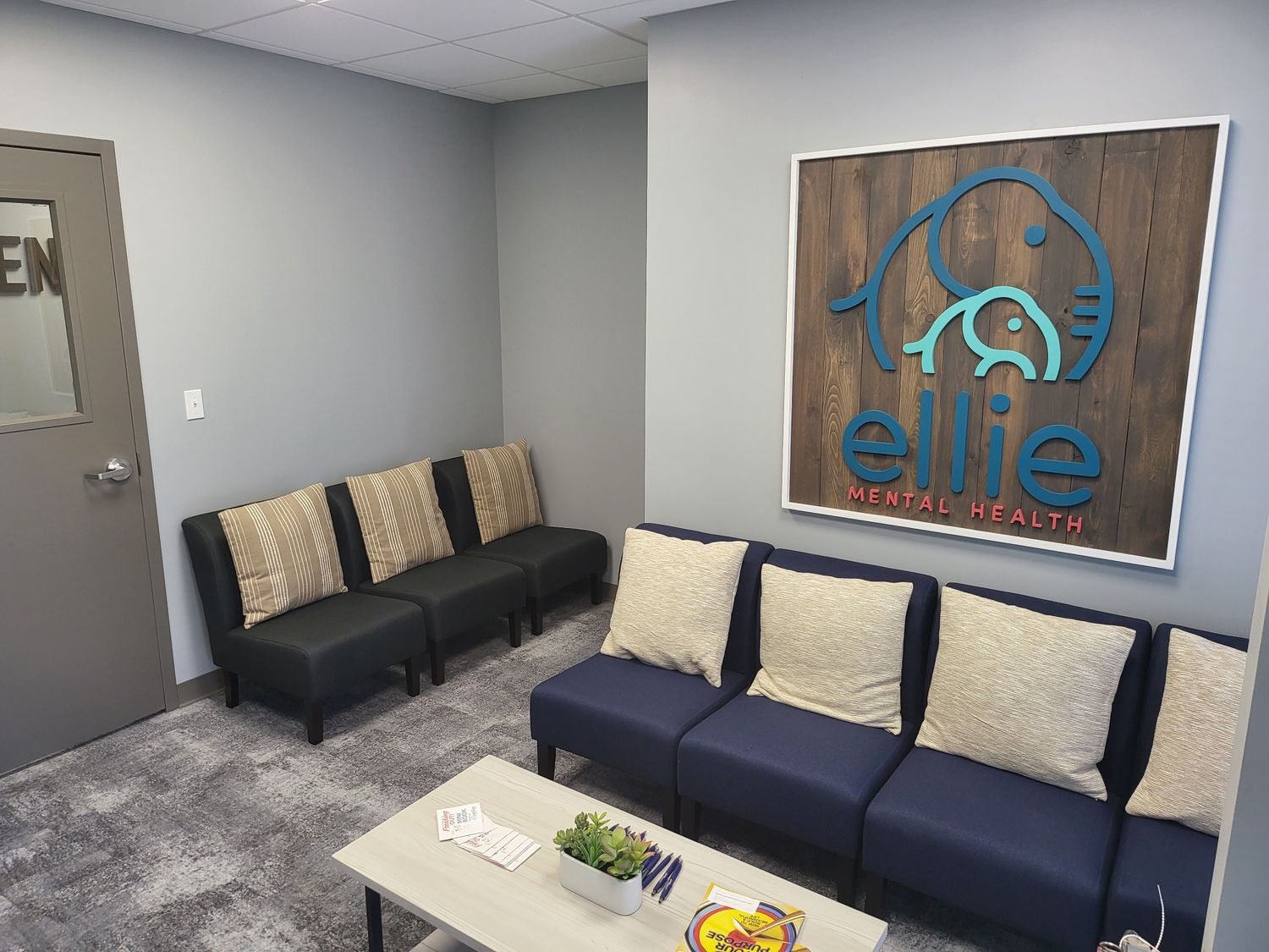 Ellie Mental Health, Libertyville, IL, 60048 Psychology Today