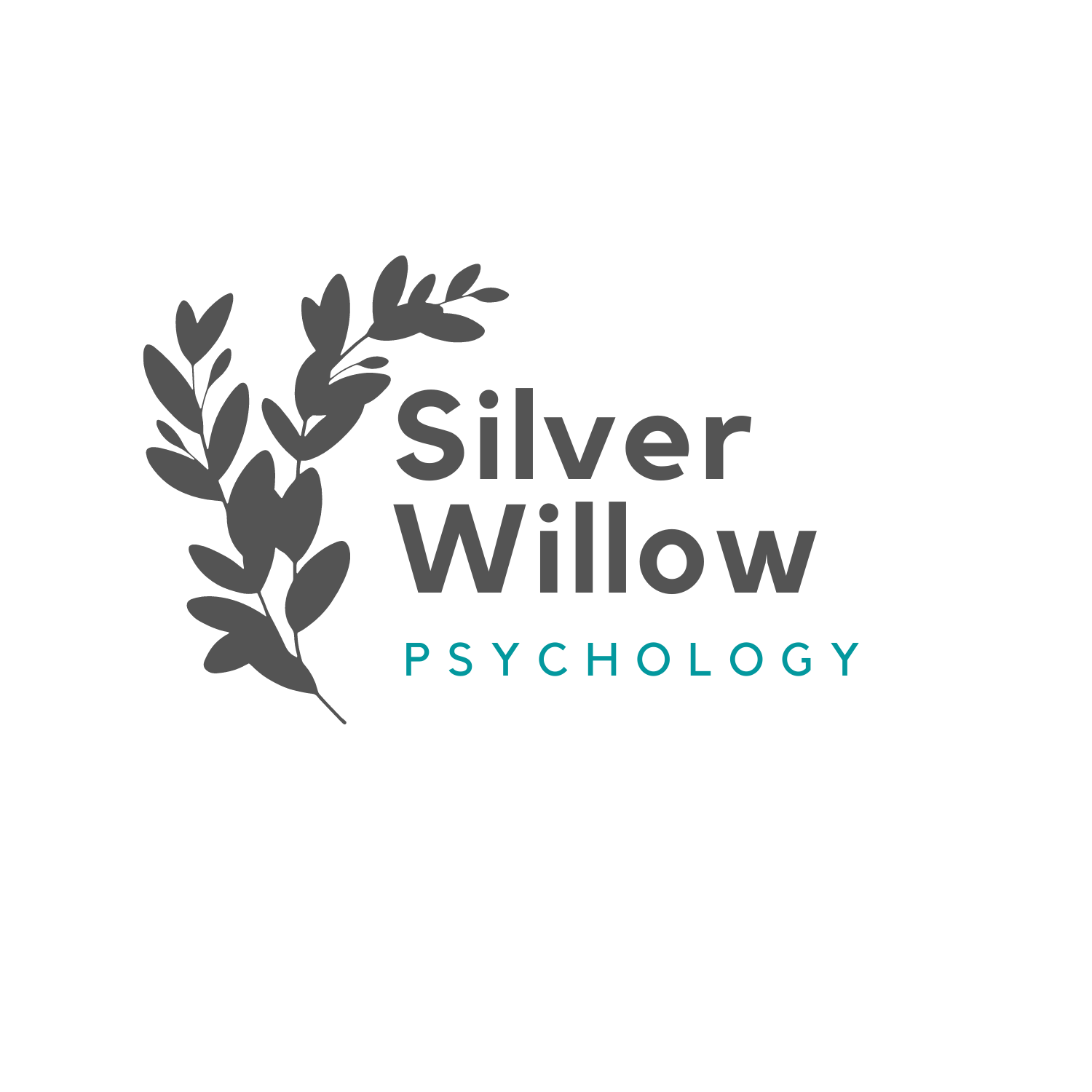 Gallery Photo of Silver Willow Psychology 