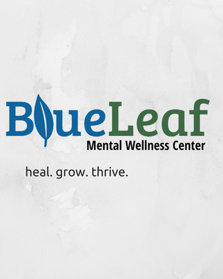 Photo of undefined - Blue Leaf Mental Wellness Center, LMFT, LMHC, LICSW, Psychologist