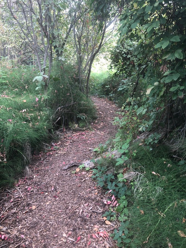 There is always something new to learn along the mindful path that will heal what hurts and enrich your life.