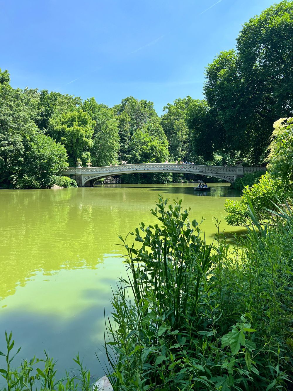 Warm and quiet afternoon