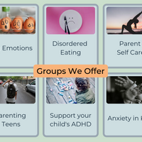 Gallery Photo of Some of the many specialized groups we offer for parents.