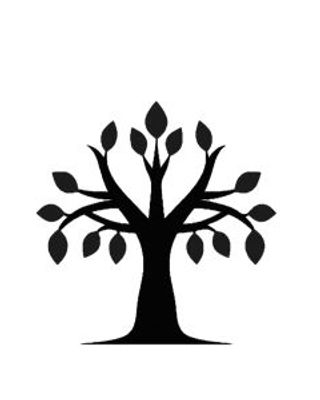 Photo of Julie Dimatteo - CBT Specialists, Psychologist, PhD