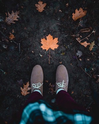 Photo of Leaves of Change Counseling, Treatment Center in Amherst, MA