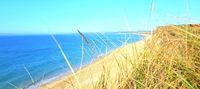 Gallery Photo of I offer outdoor counselling at Hengistbury Head & Southbourne beaches.