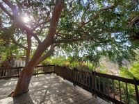Photo gallery photo