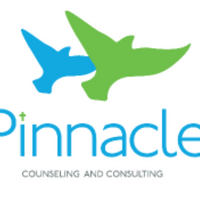 Gallery Photo of The Pinnacle logo represents the action of therapy. I offer the "lift" of support & guidance. My client gains confidence to "rise up" & reach goals.