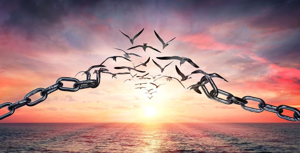 Redeeming the past, embracing the future