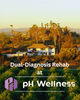 pH Wellness Riverside Alcohol Drug Detox Center