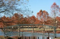Gallery Photo of A bridge across Burning Tree Ranch Lake in the mild Texas winter.