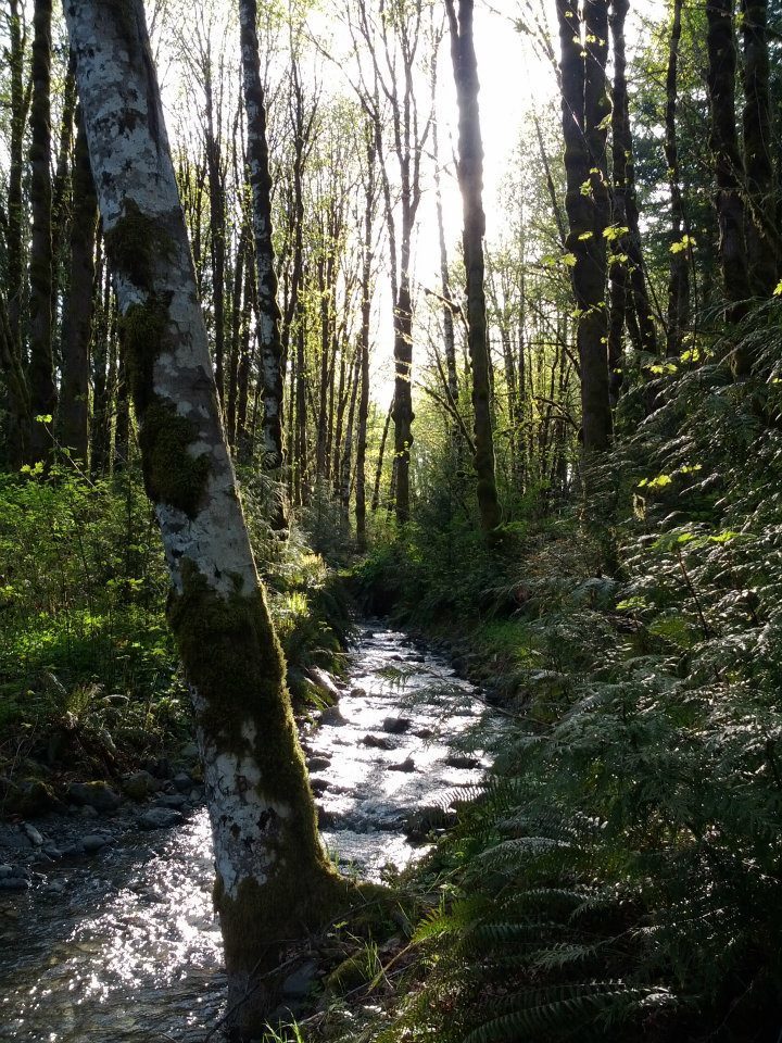 I am a born and raised Island girl and love spending as much time outside in our beautiful nature as I can!