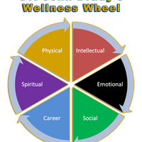 Gallery Photo of Dr. John's Wellness Wheel