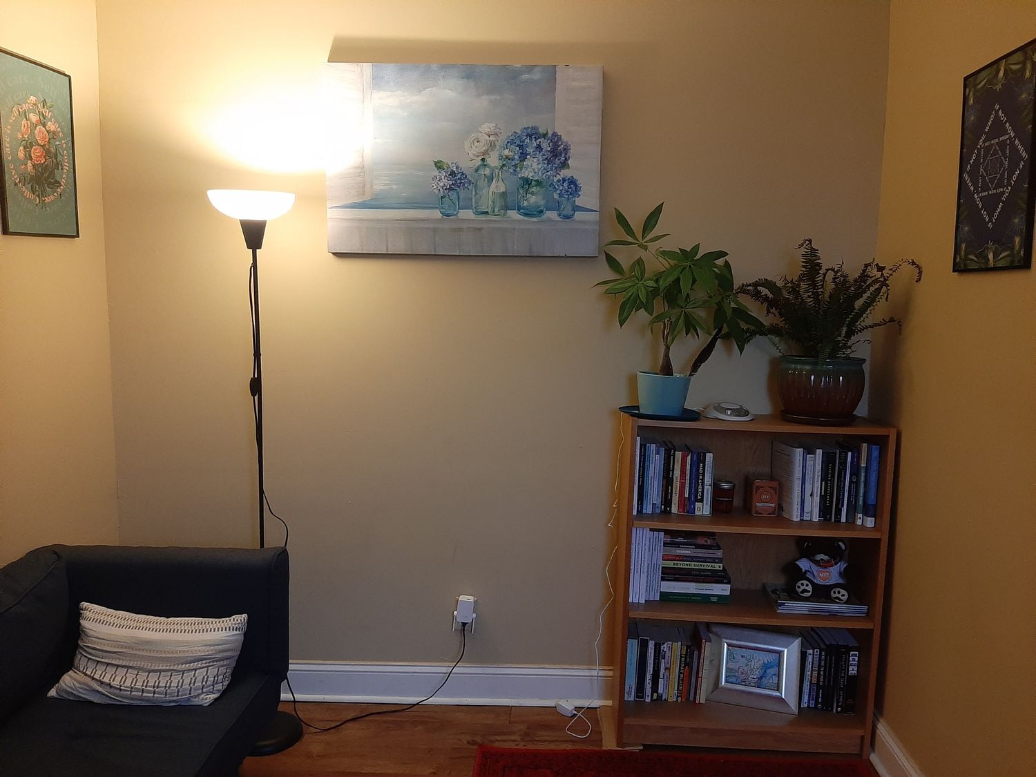 Gallery Photo of A photo of Renya's office that includes a bookcase, plants, a couch, a lamp, a red rug, and three pictures.
