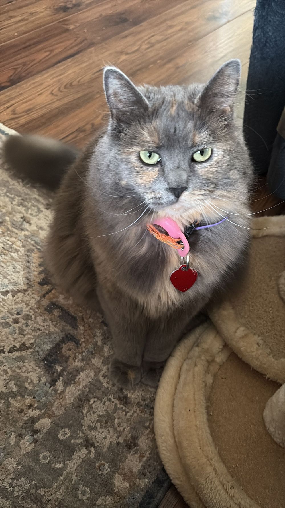My administrative assistant 