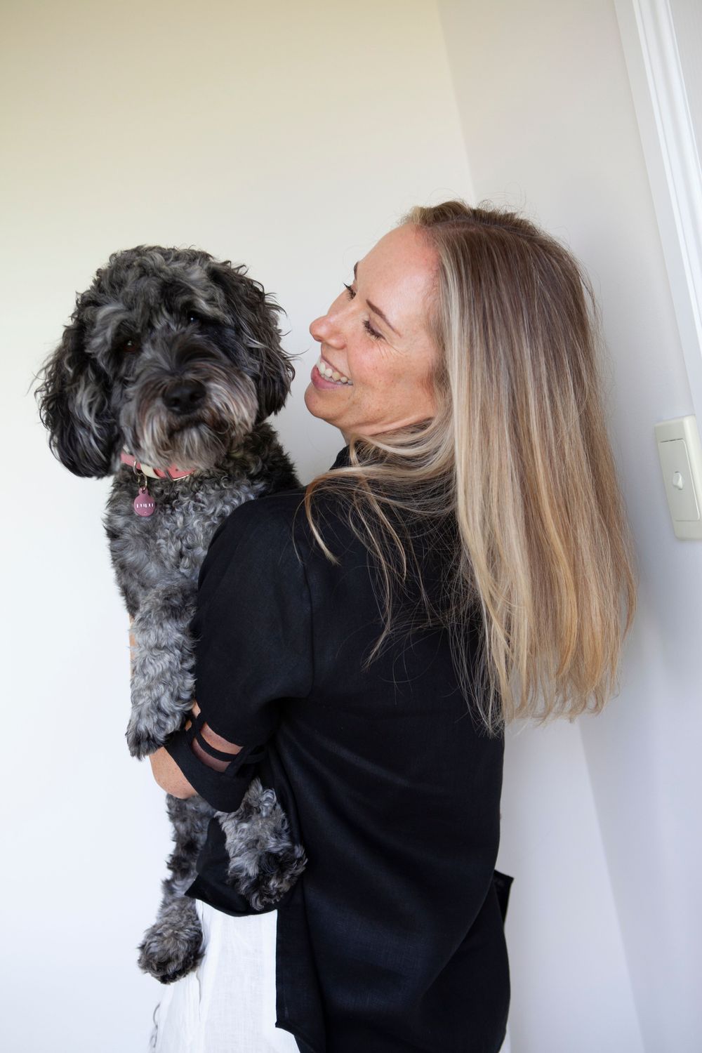 Lulu the therapy dog