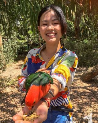 Photo of Zhuoyue Echo Wu, Counsellor, MA, PACFA