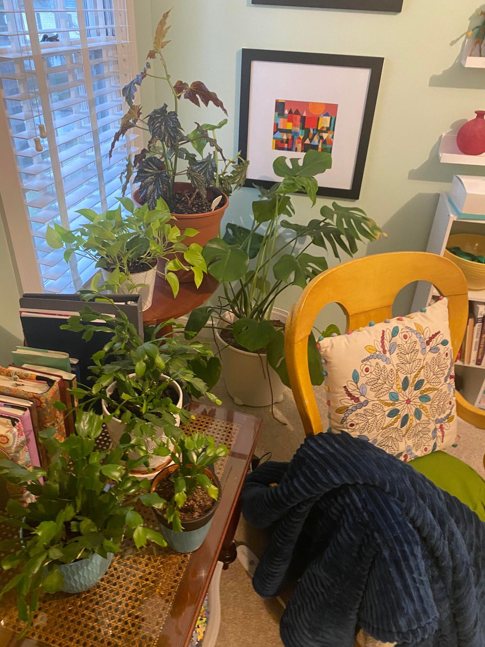 My home office where I take virtual sessions with my ever growing plant collection and my heated blanket.