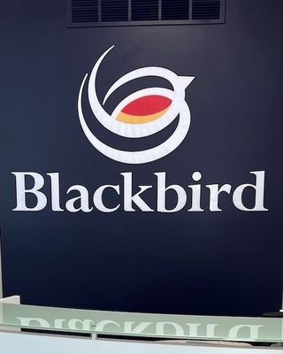 Photo of Kelly Haranczak - Blackbird Health - Langhorne, Clinical Social Work/Therapist, LCSW