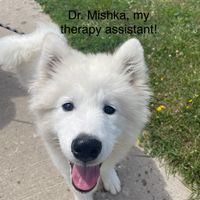 Gallery Photo of Mishka is my sweet Samoyed, who has been in sessions with me since she was a pup! Sessions without Mishka are also available! 