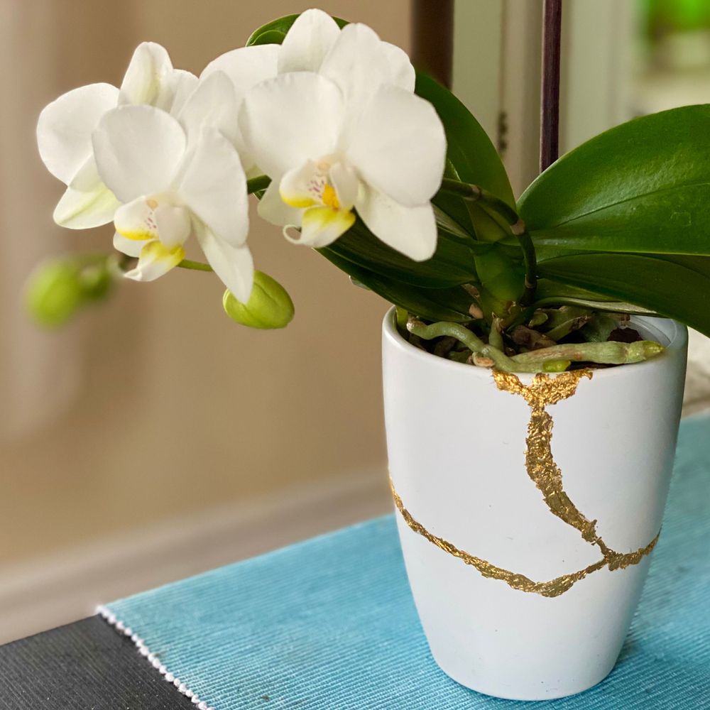 Rebloom: Orchid Kintsugi, Erin Boylan, Ceramic and Gold Leaf, 2021