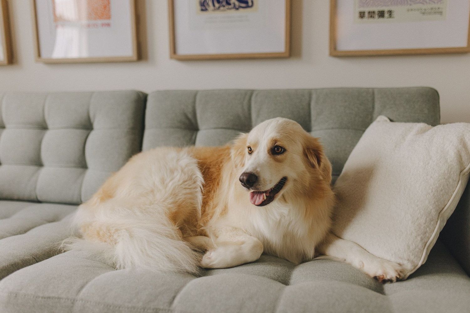 Golden Thread Therapy, Counsellor, Ashgrove, QLD, 4060 Psychology Today