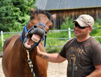 Gallery Photo of Equine Therapy