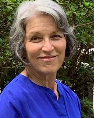 Photo of Louise M Hudak, Clinical Social Work/Therapist, MSW, LCSW