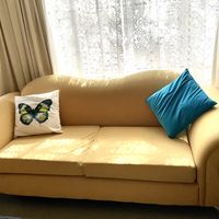 Gallery Photo of The Yellow Couch