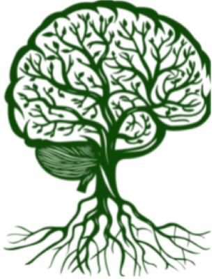 Photo of Doha Toma - Light Roots Behavioral Therapy LLC, Provisional Mental Health Practitioner, PMHP, PMSW, CAS, CDP