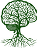 Light Roots Behavioral Therapy LLC