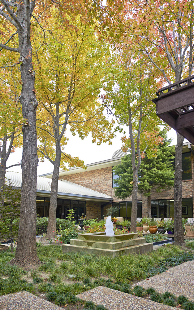 Dallas Behavioral Healthcare Hospital, Treatment Center, Desoto, TX