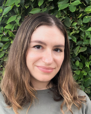 Photo of Lana Cohen, Marriage & Family Therapist, MA, LMFT