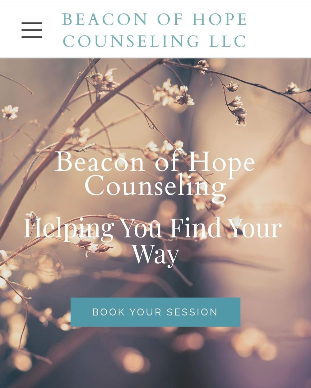 Beacon of Hope Counseling LLC, Licensed Professional Counselor