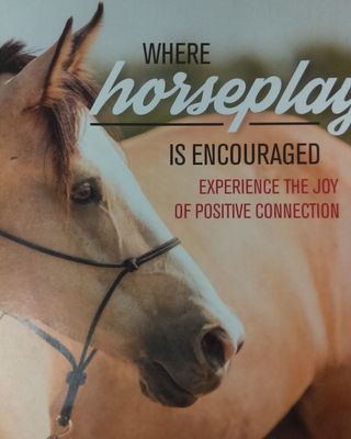 Photo of Katie Barber - Courage Reins Equine Assisted Therapies, Treatment Center, LCSW