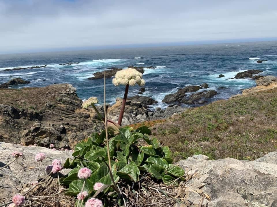 Dr. Mark Chofla Empathy Therapy, Psychiatrist, Fresno, CA, 93720