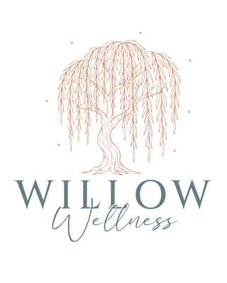 Photo of Willow Wellness, Group Practice