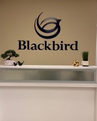 Photo of Kelly Haranczak - Blackbird Health - Media, Clinical Social Work/Therapist, LCSW