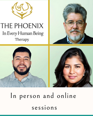 Photo of Phoenix In Every Human Being - The Phoenix In Every Human Being, Licensed Professional Counselor, LPC, NCC