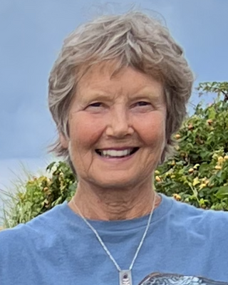 Photo of Diane W Johnson, Counselor, LCMHC
