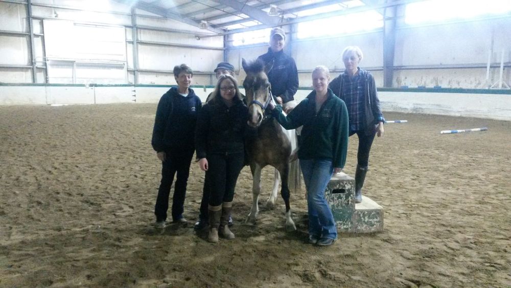 Working as a PATH Therapeutic Riding Instructor in Chicago