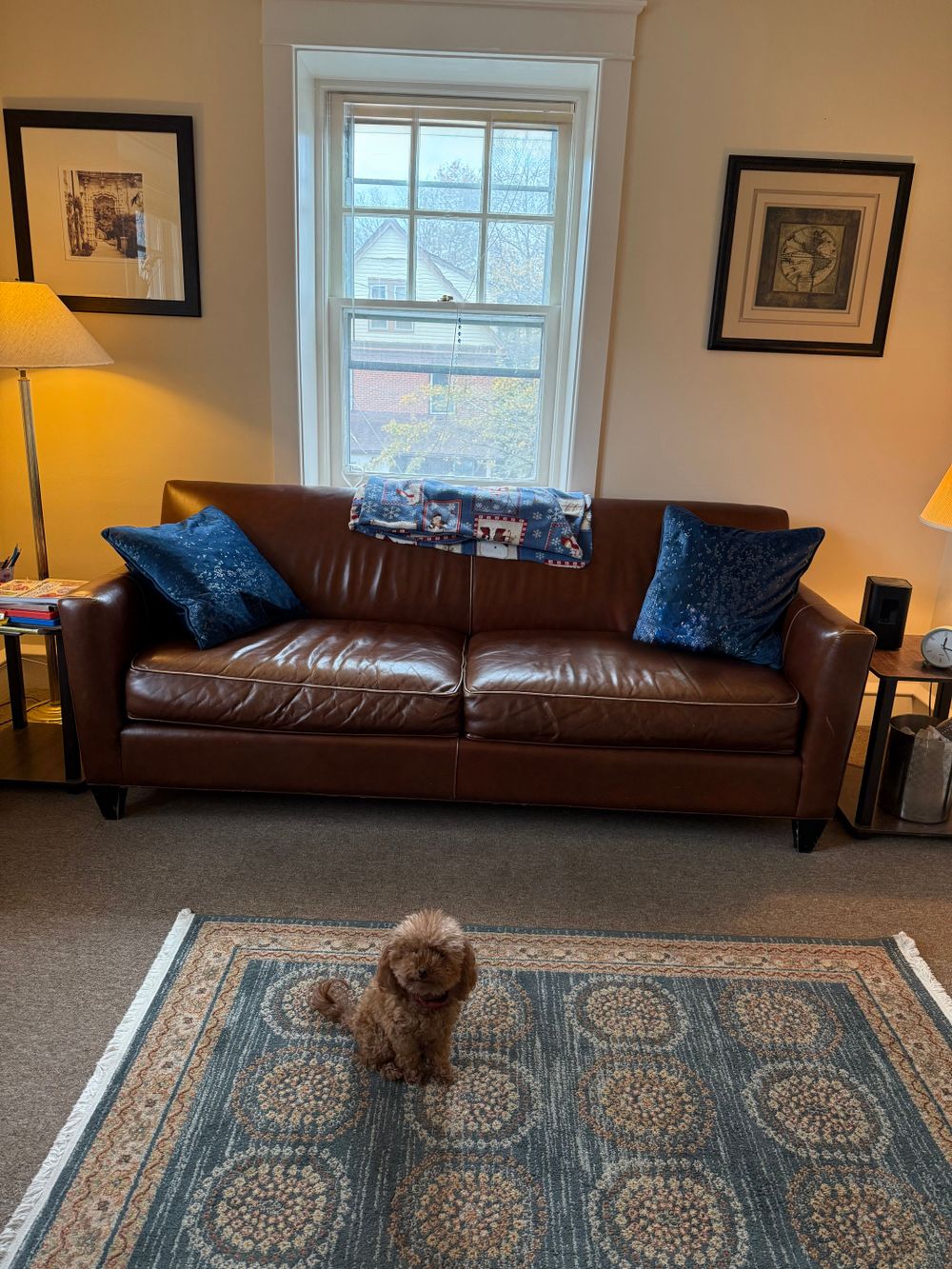 My cozy office space, with special guest appearance by my tiny dog (who can be found on my lap for nearly every virtual session).