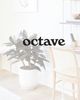 Octave - Downtown SF Clinic