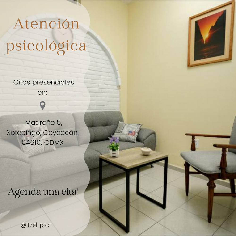 Sesiones en modalidad presencial, en un espacio cómodo 