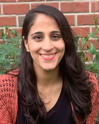 Photo of Diala Abughosh, Clinical Social Work/Therapist in Little Italy, Chicago, IL